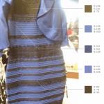Ученые объяснили различия в восприятии цвета одного и того же платья Платье непонятного цвета сине черное и белое